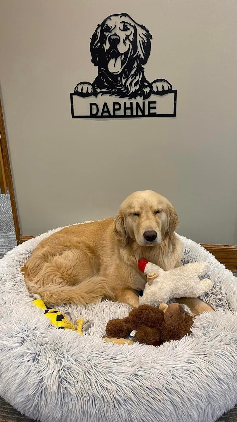 Chiropractic Associates of Bedford photo 3