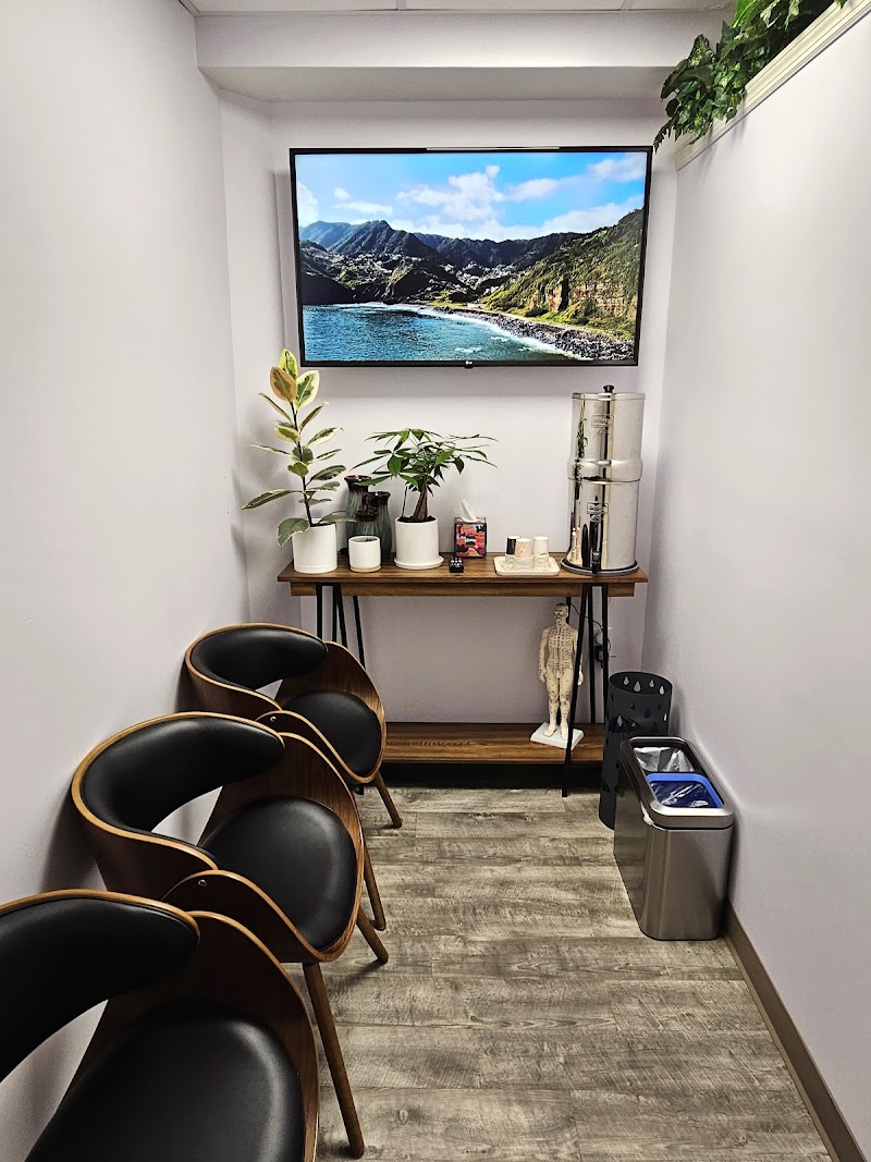 One on One Acupuncture