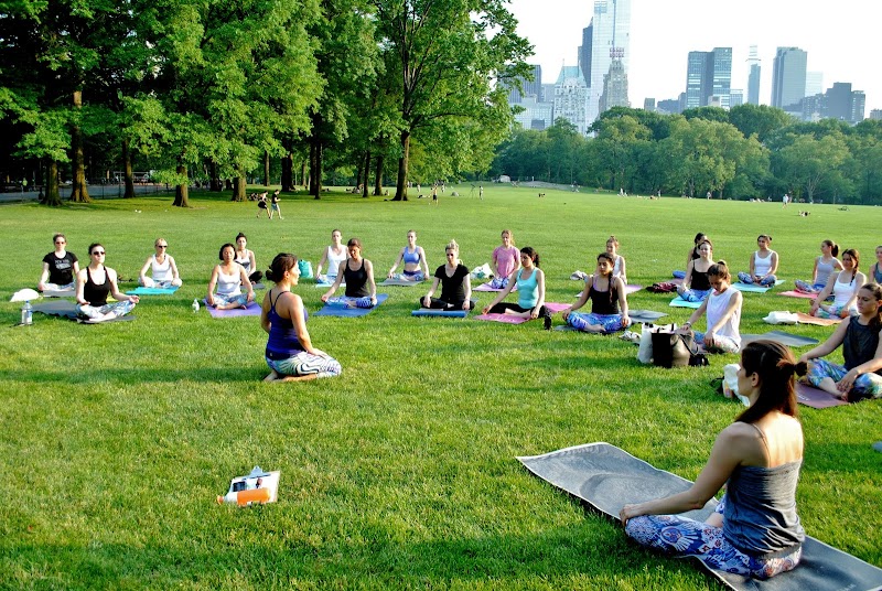 The Yoga Trail