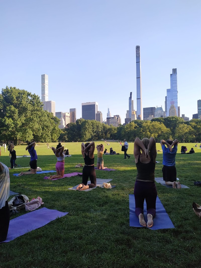 The Yoga Trail photo 2
