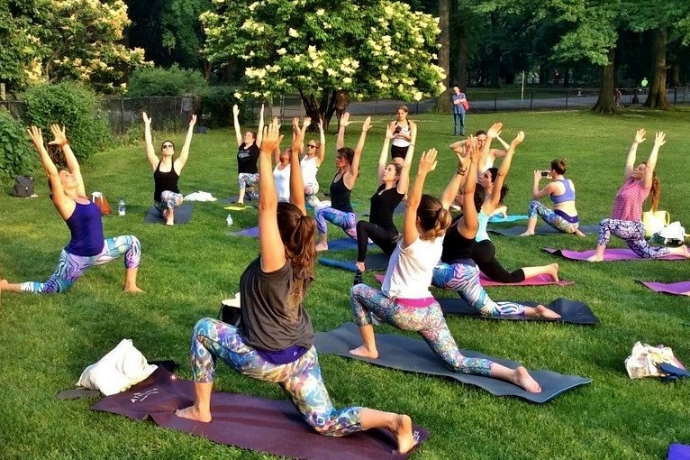 The Yoga Trail photo 3