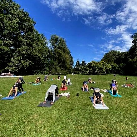 The Yoga Trail photo 4