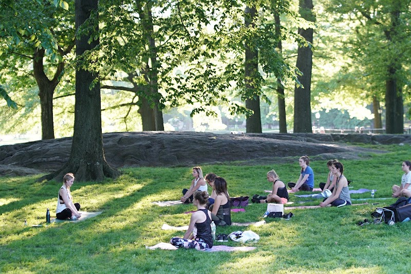 The Yoga Trail photo 5