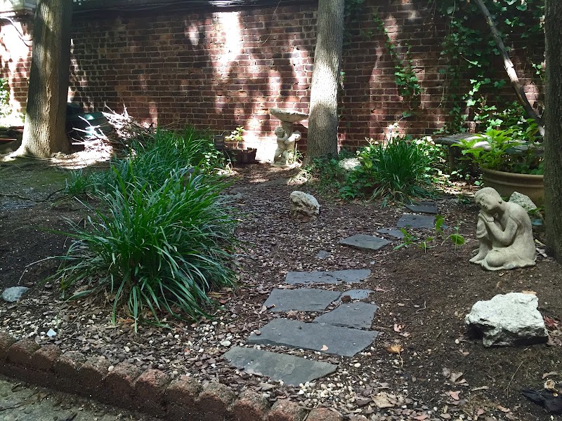 Rudin Chiropractic photo 5