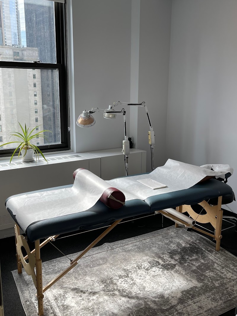 Lucy Liu Acupuncture