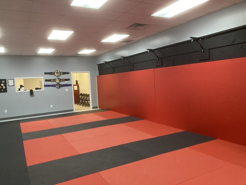 Valhalla Jiu-Jitsu & MMA photo 2