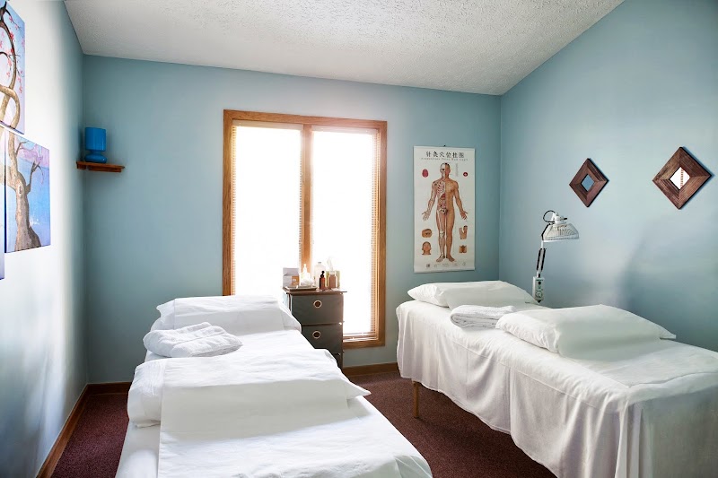 12 Meridians Acupuncture photo 5