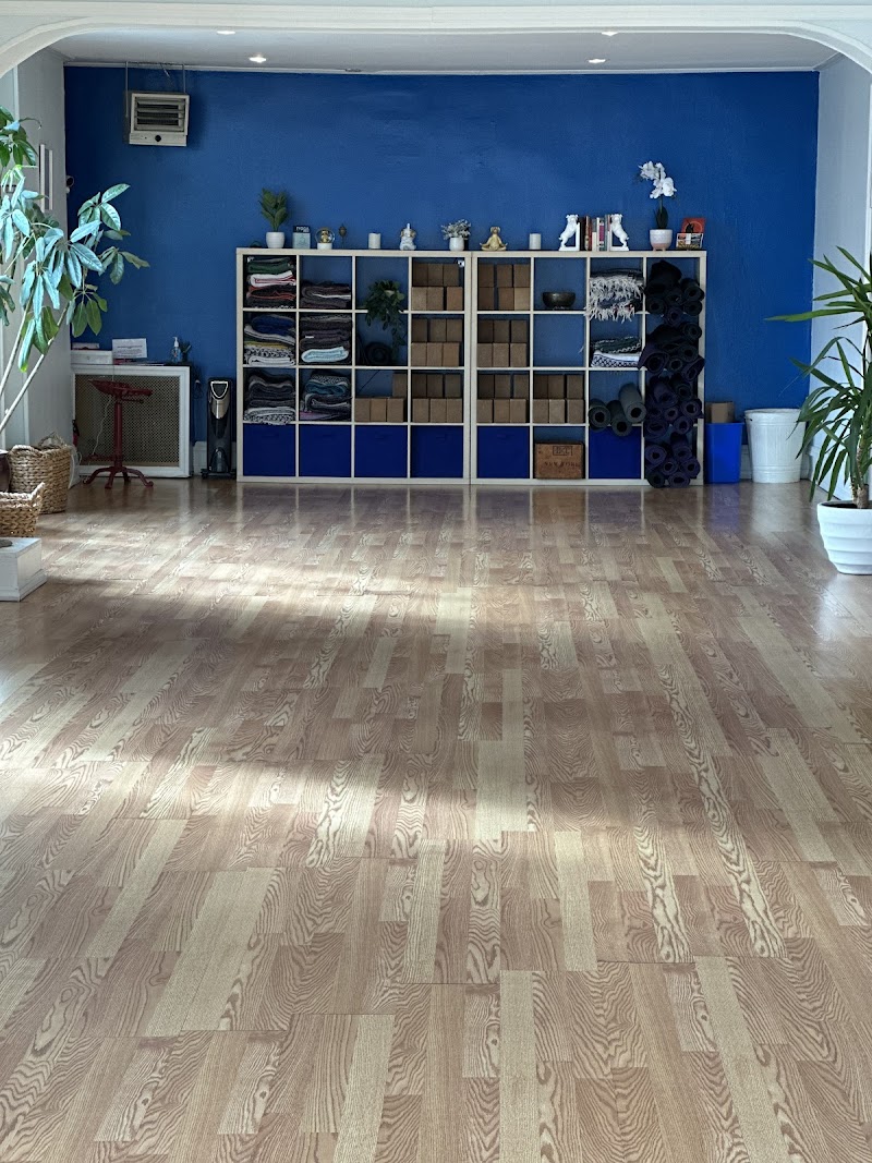 UpDog Studios photo 2