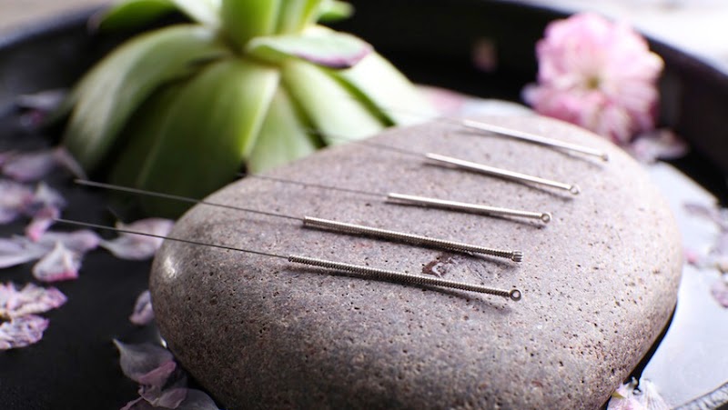 Julia Shengaout, L.Ac.