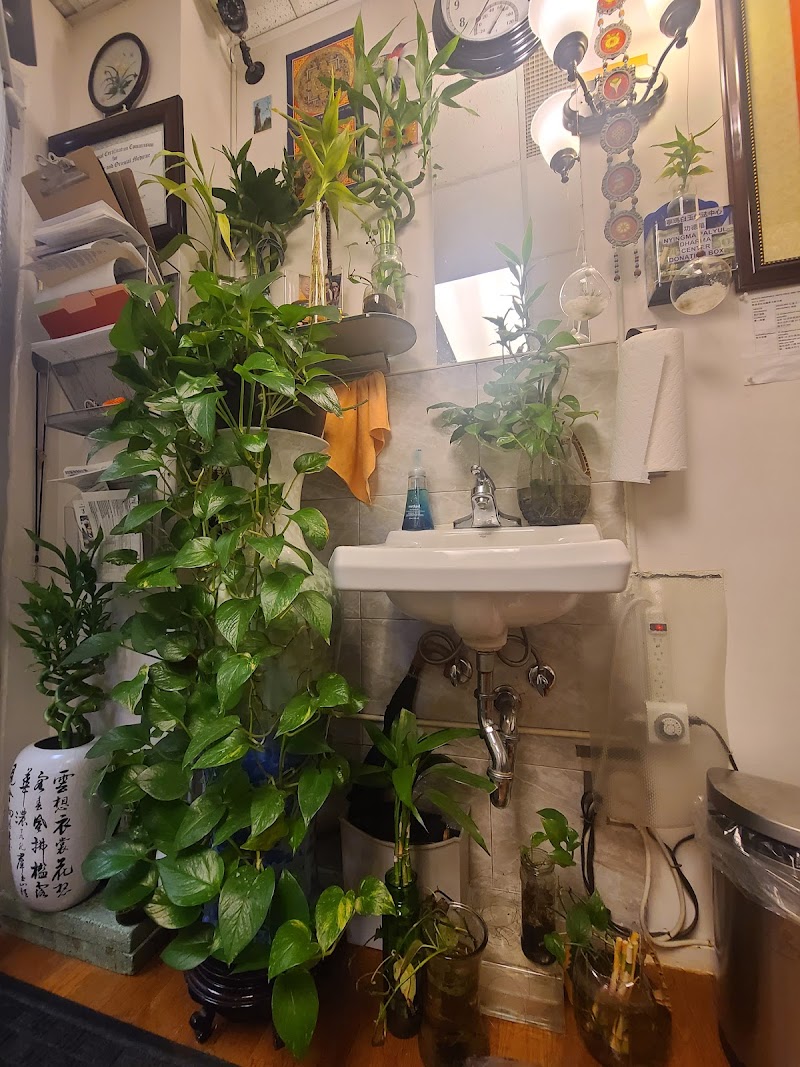 Tang Acupuncture Health Care, P.C.
