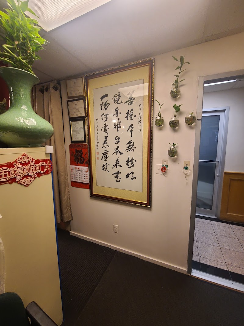 Tang Acupuncture Health Care, P.C. photo 3