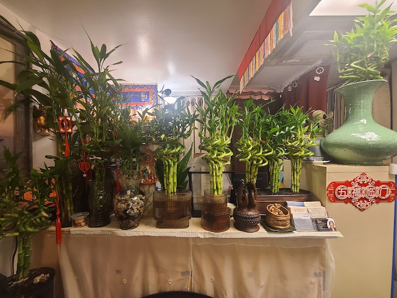 Tang Acupuncture Health Care, P.C. photo 4