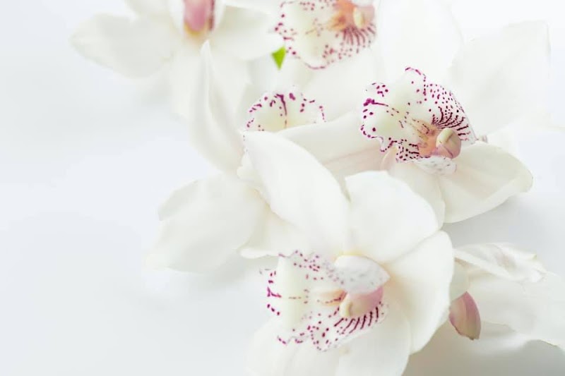 Loving Hands Ayurveda photo 3