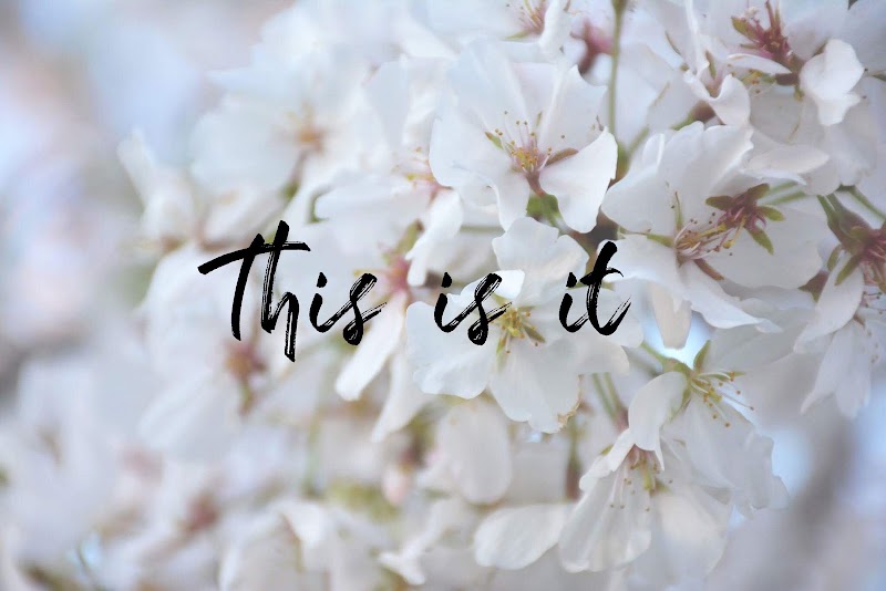 Mindfulness-Based Yoga and Enneagram