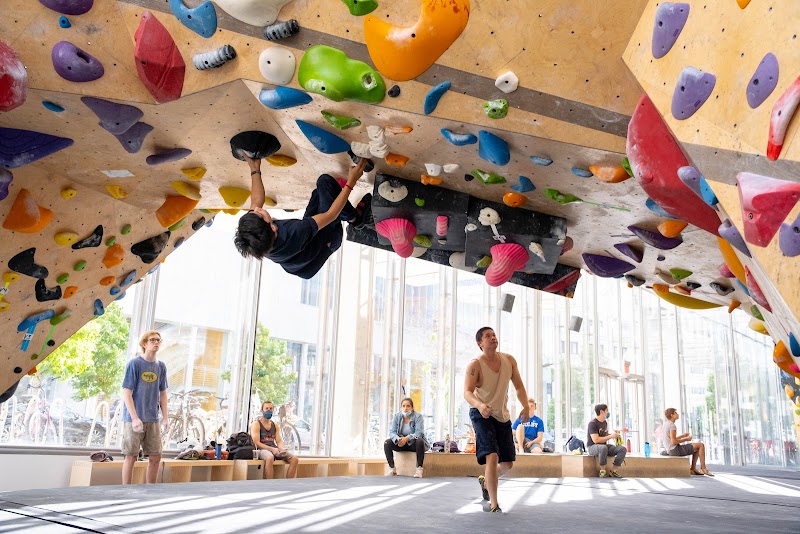 VITAL Climbing Gym - West Harlem photo 4