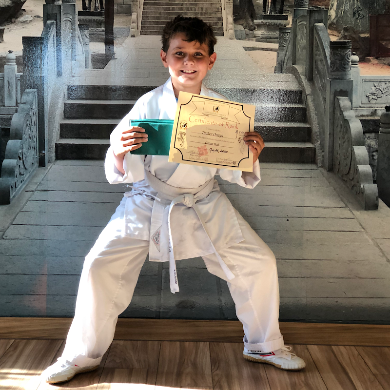Avondale Kung Fu, Tai Chi, Qigong, Yoga, and Meditation photo 4