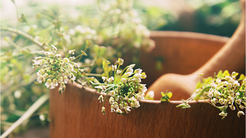 Dr. Kim Furtado Naturopathic Doctor