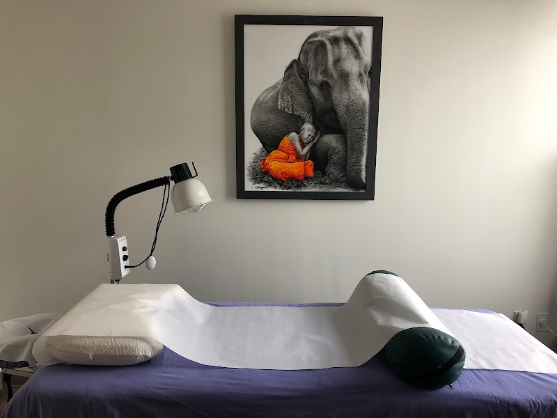 Bee Cave Acupuncture photo 4