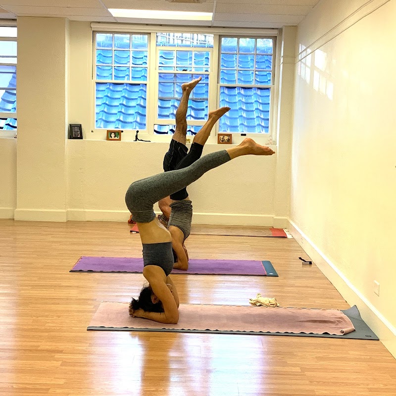 Purple Yoga Hawaii photo 2