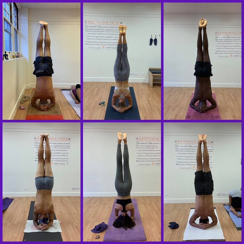 Purple Yoga Hawaii photo 3