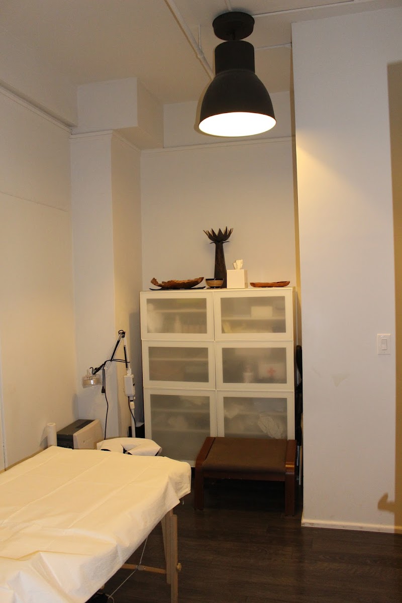 True Path Acupuncture & Wellness photo 3