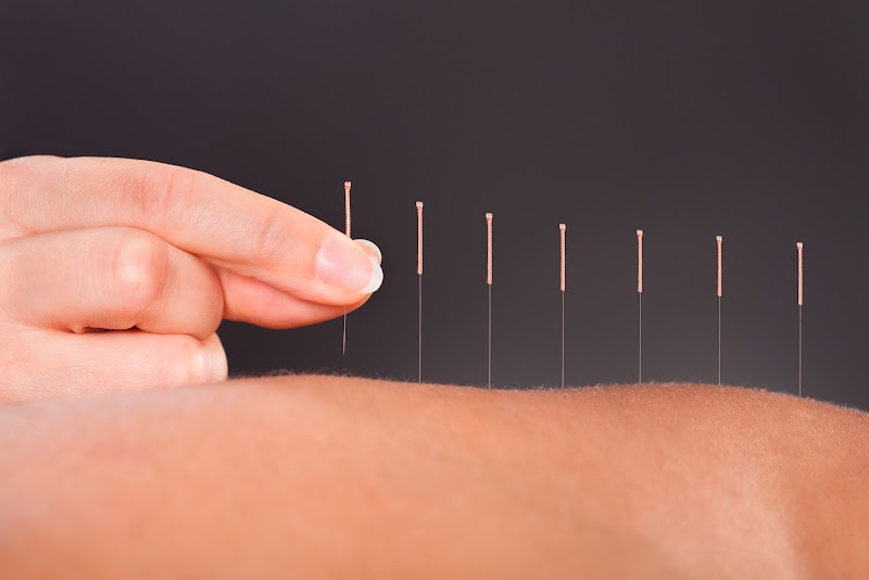 True Path Acupuncture & Wellness photo 4