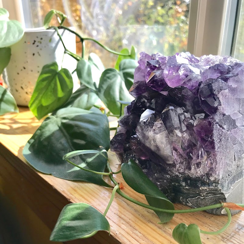 Jasper Moon photo 2