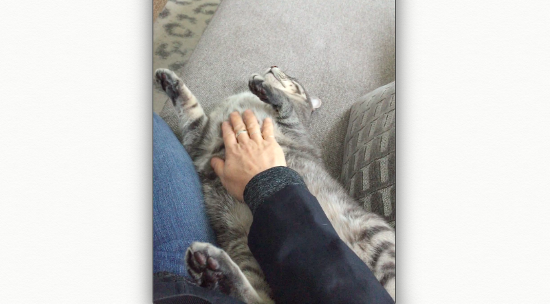 Reiki with Deanna (Energy Healing, Alternative Medicine, Holistic Healing, Coaching & QHHT) photo 3