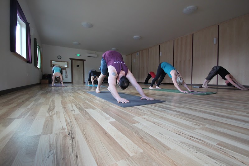 The Yoga Path photo 2