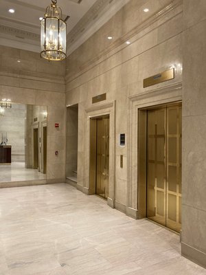 Apex Acupuncture and Chiropractic - Downtown FIDI photo 3