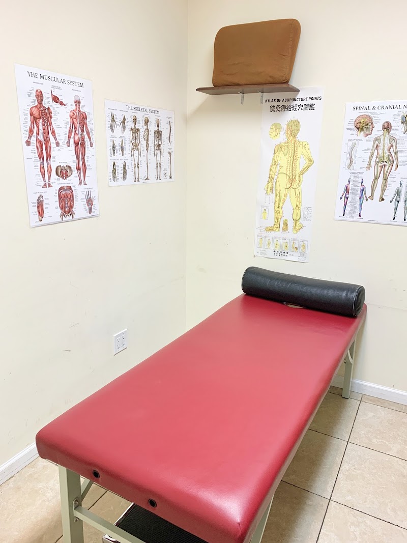 Project Physical Therapy photo 4