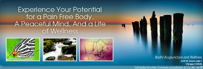 Bodhi Acupuncture and Wellness of Des Moines photo 4