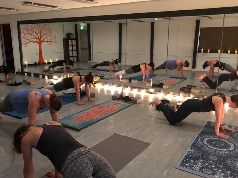 Yoga OM Alaska photo 2