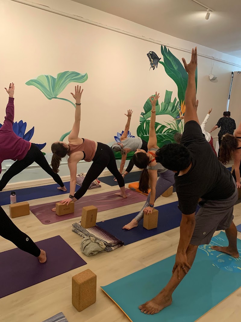 Lotusland Yoga SF photo 2