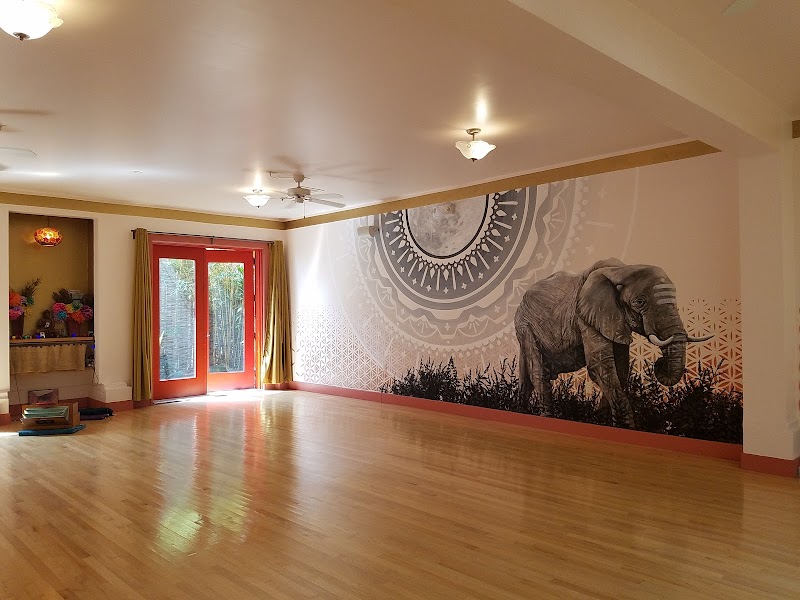 Lotusland Yoga SF photo 4