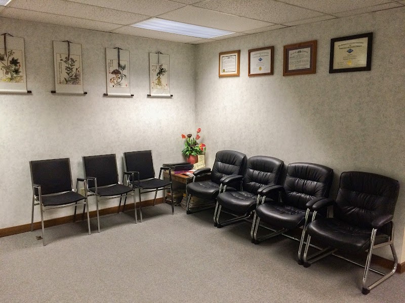 New Realm Acupuncture photo 4