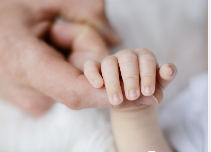 Essence Acupuncture & Chinese Medicine LLC photo 5