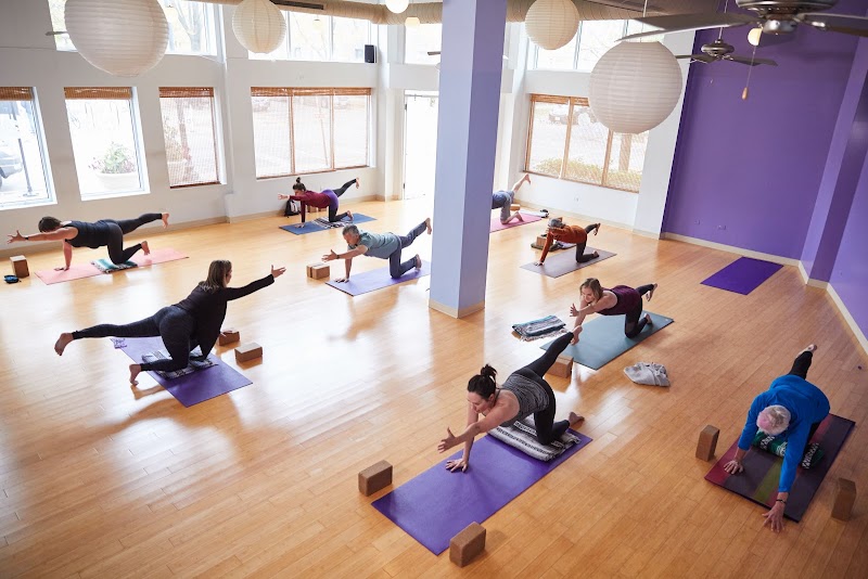 Bloom Yoga Studio photo 2