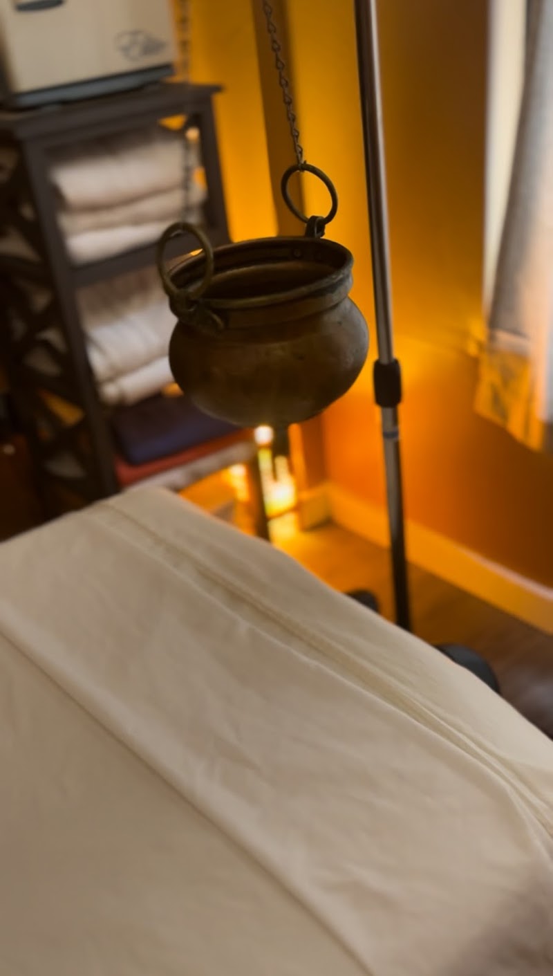 Rudra Ayurveda & Panchakarma Center photo 3