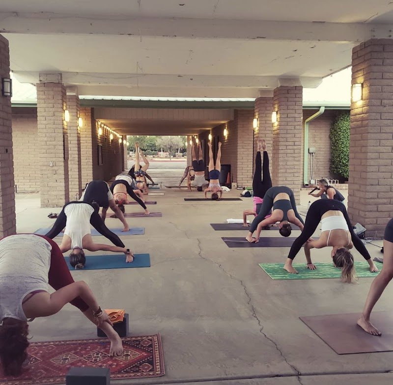 Surya Yoga photo 3