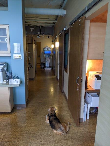 Eastlake Chiropractic and Massage Center photo 4