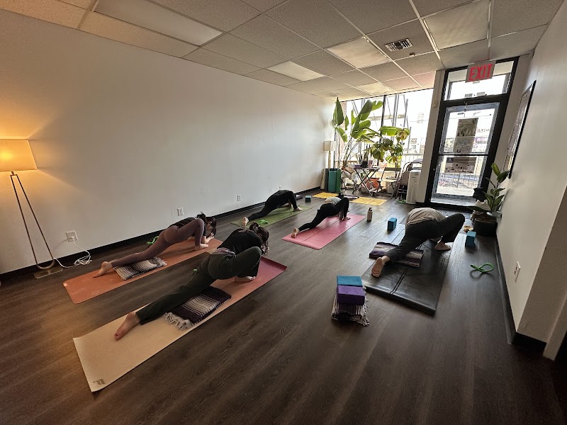 Muse4Yoga photo 2