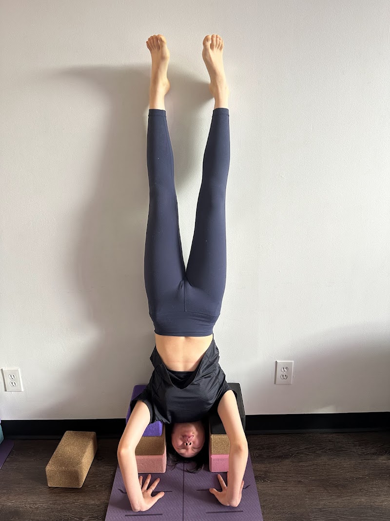 Muse4Yoga photo 3