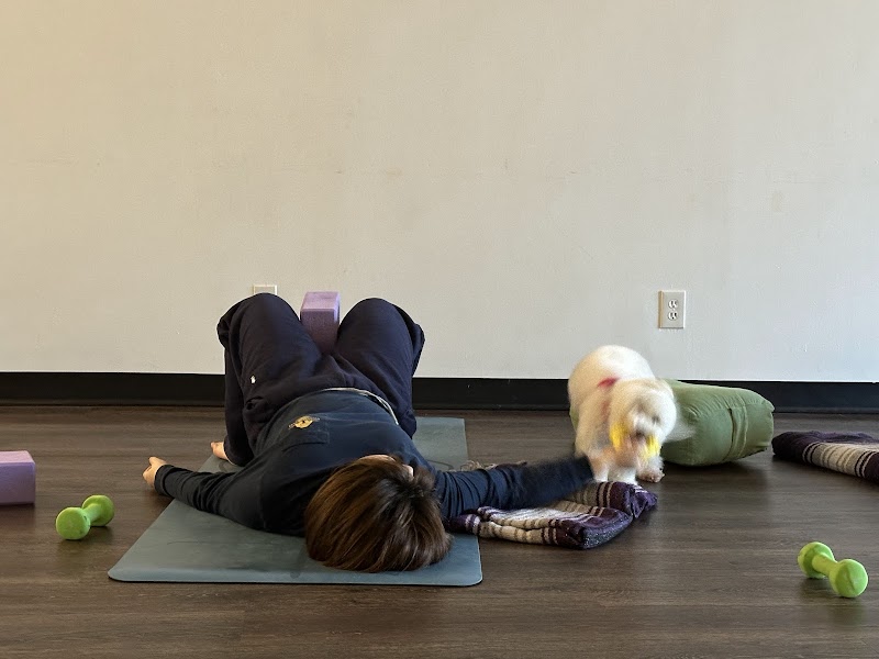 Muse4Yoga photo 4