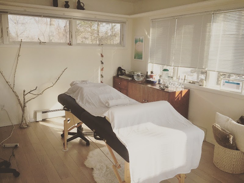 Holístico Wellness
