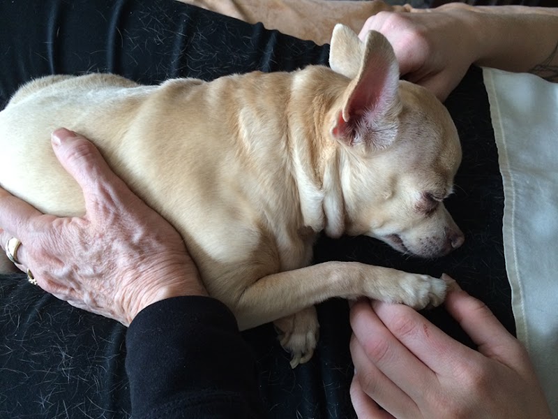 Healing Reiki Brooklyn photo 3