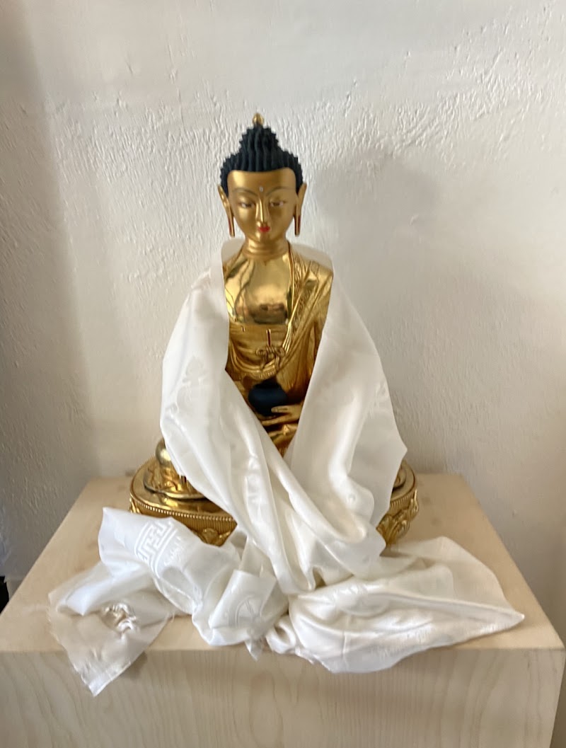 Golden Mean Acupuncture photo 5