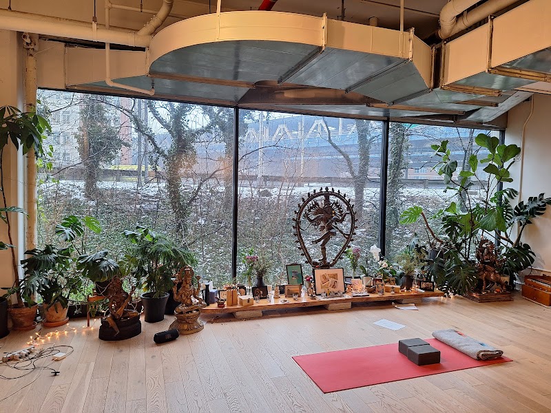 Abhaya Yoga Dumbo photo 5