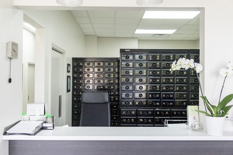 Houston Wellness Acupuncture Clinic photo 3