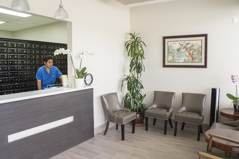 Houston Wellness Acupuncture Clinic photo 5